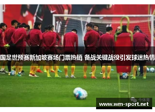 国足世预赛新加坡赛场门票热销 备战关键战役引发球迷热情